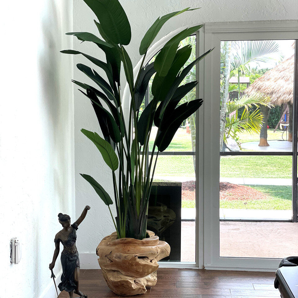 Large Bird of Paradise in Large Teak Vessel