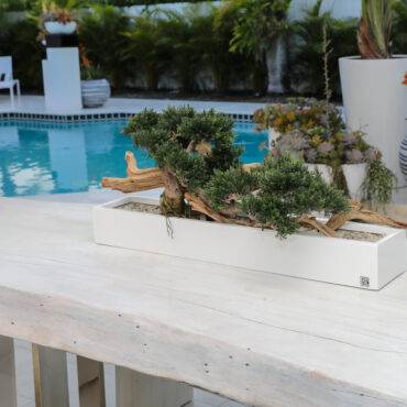 Bonsai Artificial Plant