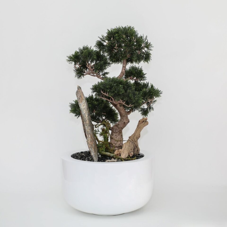 Bonsai Artificial Plant