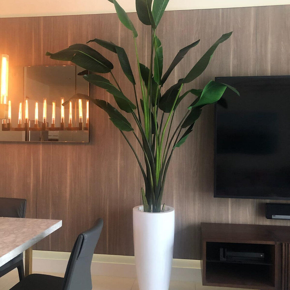 Large Dax Planter in Glossy White with 9 Ft Bird of Paradise