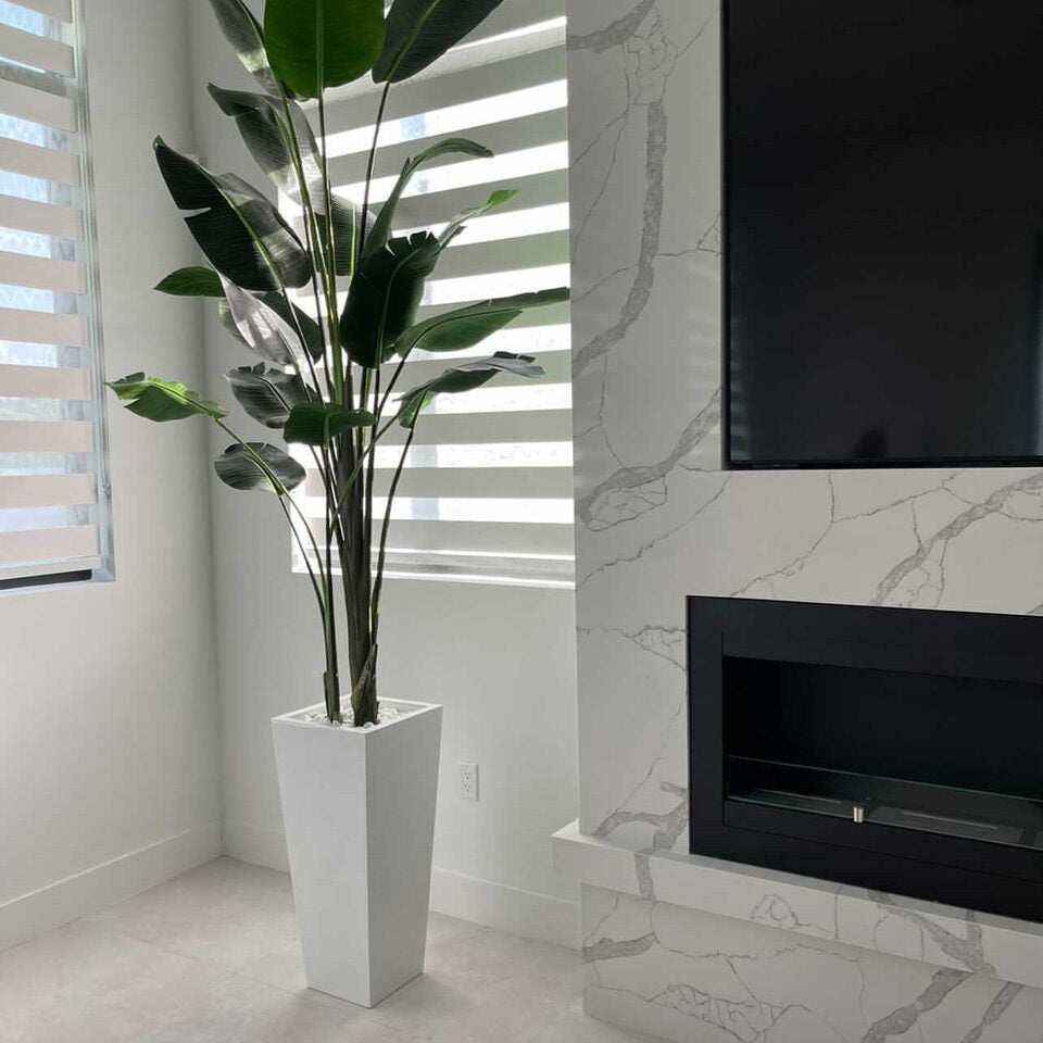 Medium Beau Planter in Glossy White with Bird of Paradise