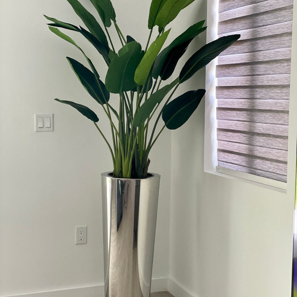 Bird of Paradise in Stainless Cone Planter