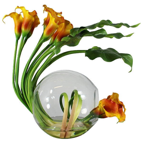 Mango Calla Lilies in the Crosswinds Vase