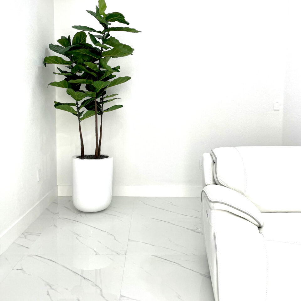 Dice L Glossy White Fibreglass Planter with Fiddle Leaf Tree