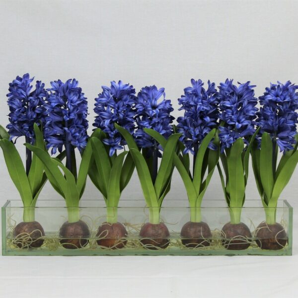 Blue Hyacinths Glass Plate Planter
