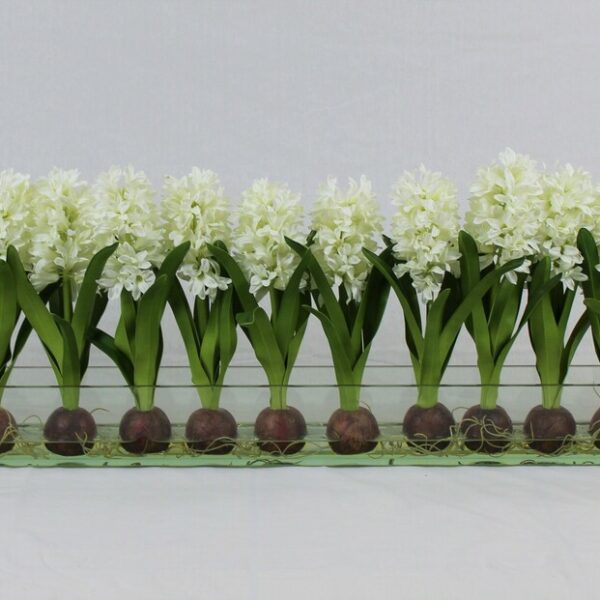 White Hyacinths Glass Plate Planter