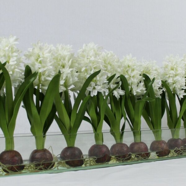 White Hyacinths Glass Plate Planter