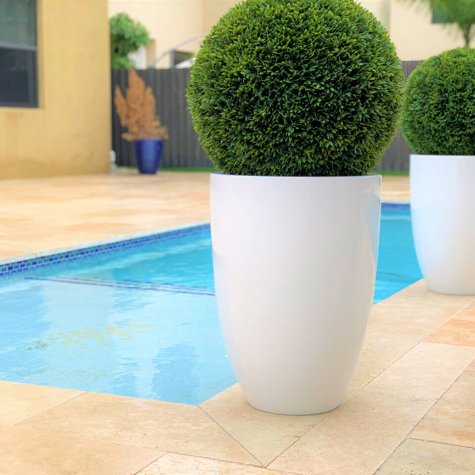 Topiary in Ben L Fibreglass Planter