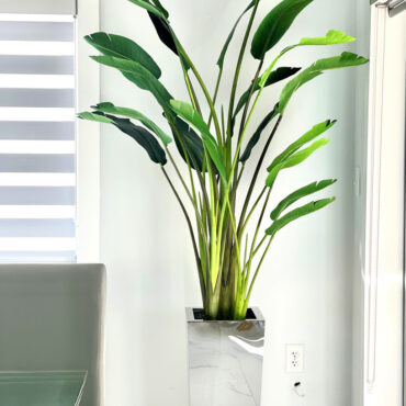 Bird of Paradise in Medium Stainless Steel Cube Planter