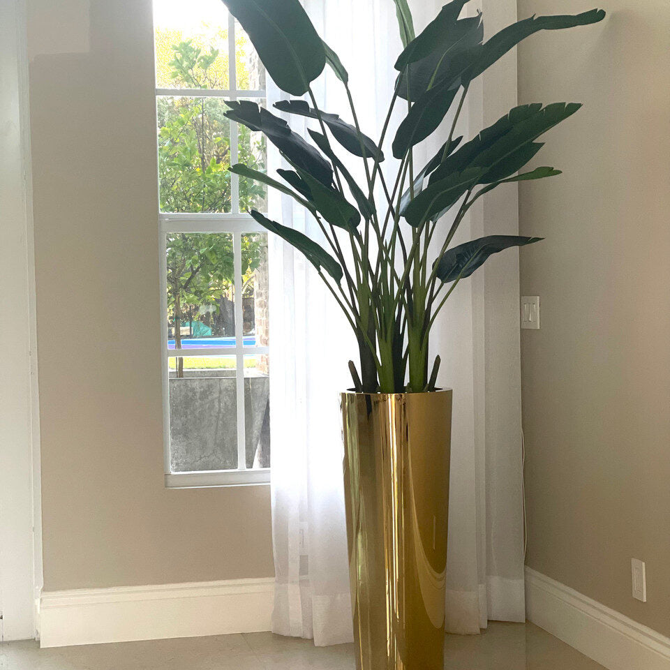 Bird of Paradise in Gold Cone Planter