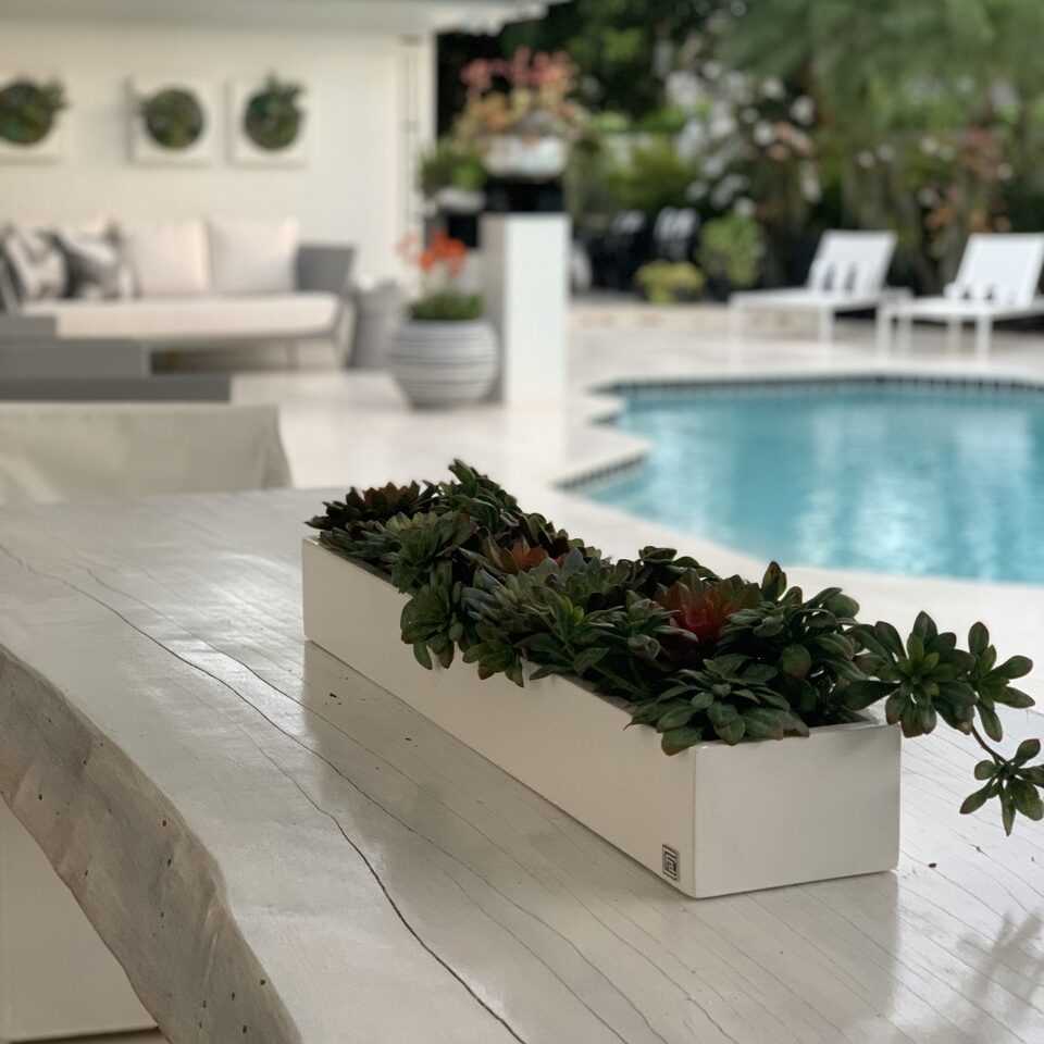 Artificial Succulent Plant