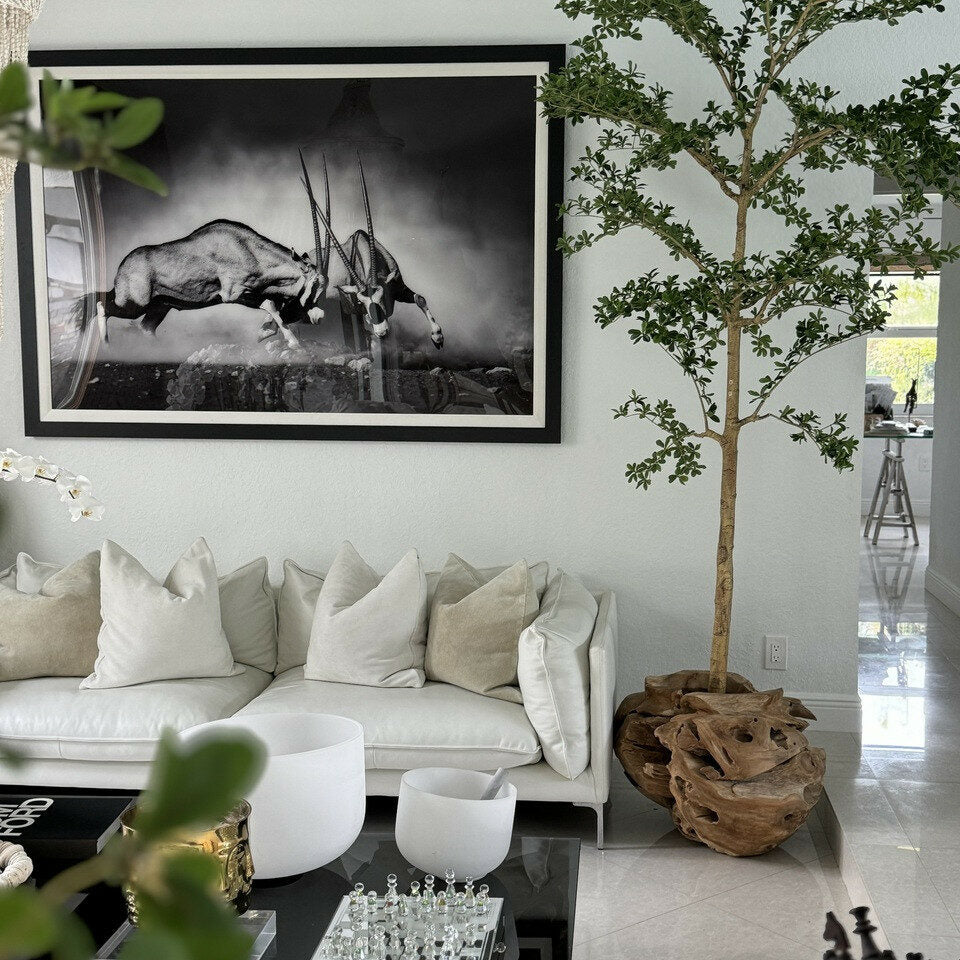 Shady Lady Tree in One Of A Kind Teak Hand-Carved Planter