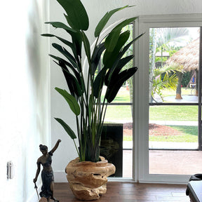 Large Bird of Paradise in Large Teak Vessel