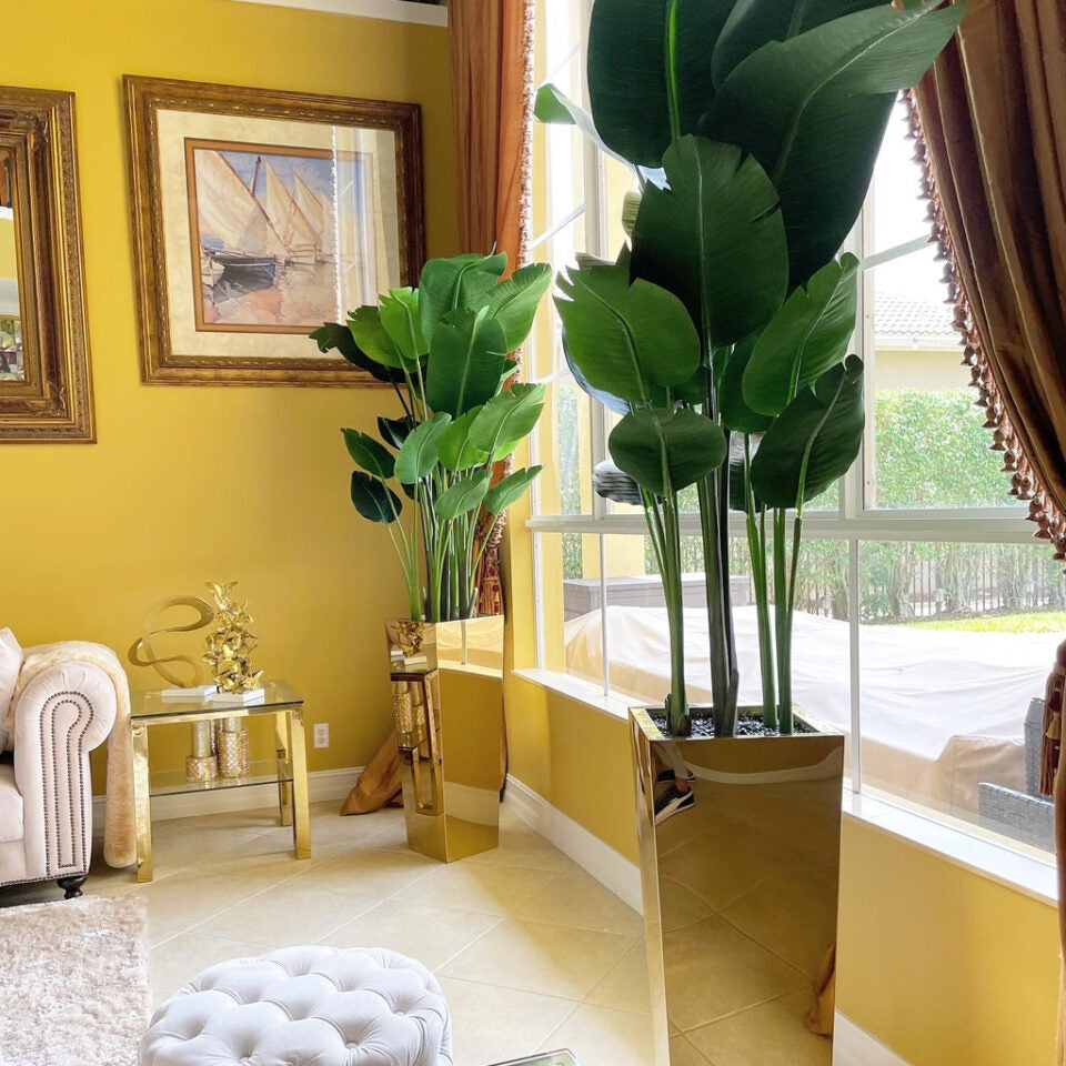 Bird of Paradise in Gold Cube Planter