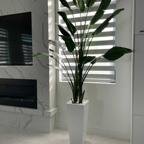 Medium Beau Planter in Glossy White with Bird of Paradise