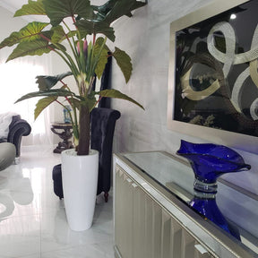 Red Prince Alocasia in Dax L Glossy White Planter