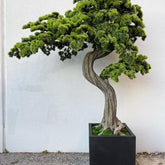 Bonsai Artificial Plant