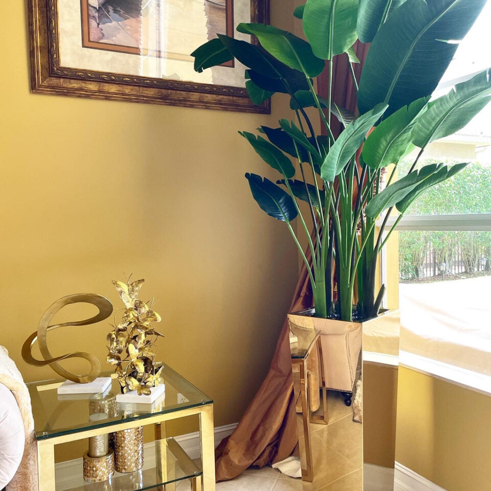 Bird of Paradise in Gold Cube Planter