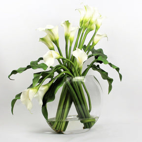 White Calla Lilies in the Moon Vase