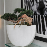 Bonsai Artificial Plant