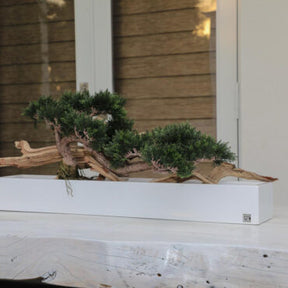 Bonsai Artificial Plant