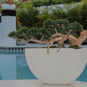 Bonsai Artificial Plant