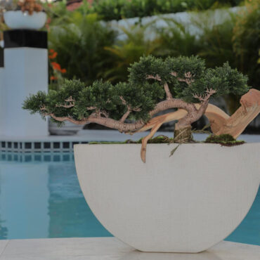 Bonsai Artificial Plant