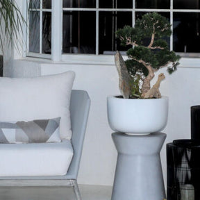 Bonsai Artificial Plant