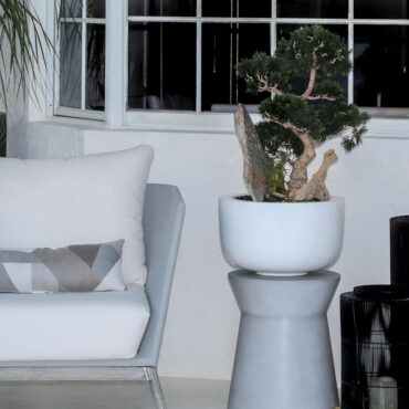 Bonsai Artificial Plant