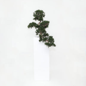 Bonsai Artificial Plant