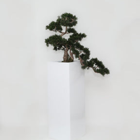 Bonsai Artificial Plant