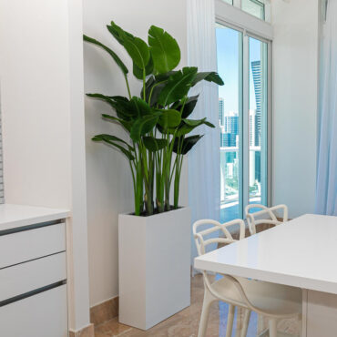 Jort Slim Medium Planter in Glossy White with Bird of Paradise