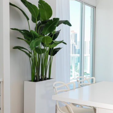 Jort Slim Medium Planter in Glossy White with Bird of Paradise