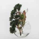 Bonsai Artificial Plant