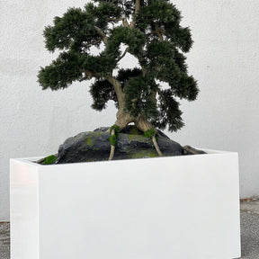 Bonsai Artificial Plant