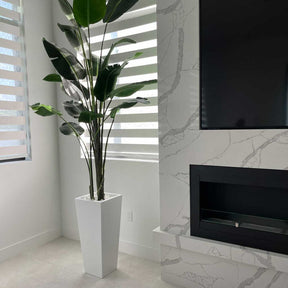 Medium Beau Planter in Glossy White with Bird of Paradise