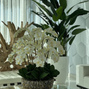 Artificial Orchid Plant