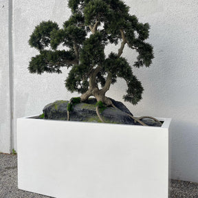 Bonsai Artificial Plant
