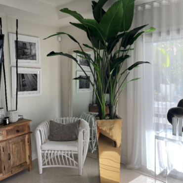 Bird of Paradise in Gold Cube Planter