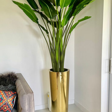 Bird of Paradise in Gold Cone Planter