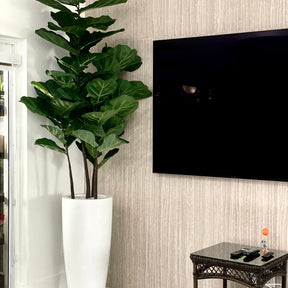 Dax L Glossy White Fibreglass Planter with Fiddle Leaf Tree