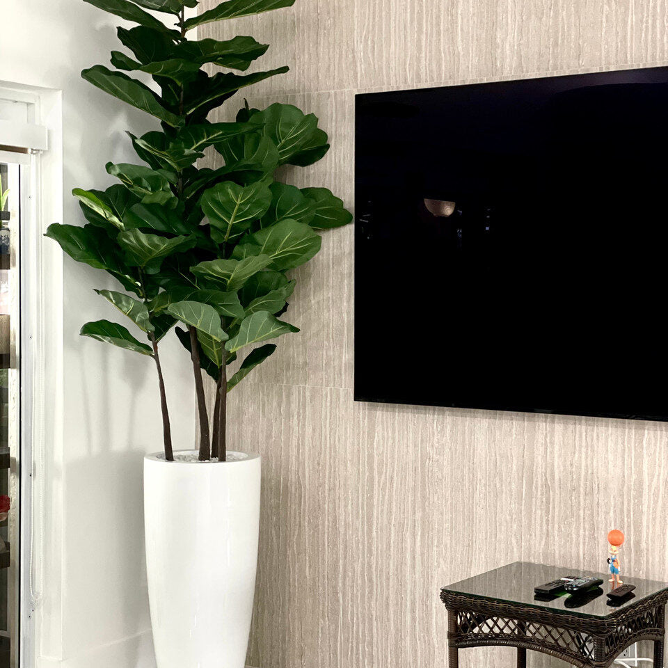 Dax L Glossy White Fibreglass Planter with Fiddle Leaf Tree