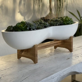 Artificial Succulent Plant