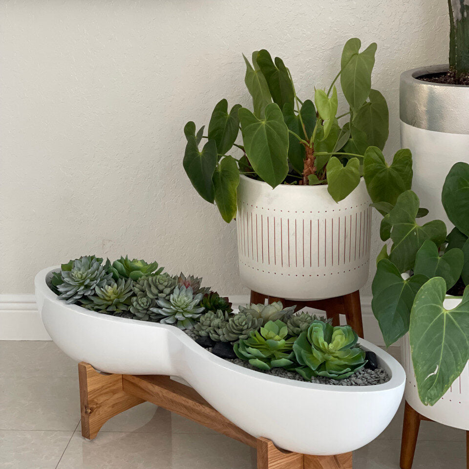 Artificial Succulent Plant