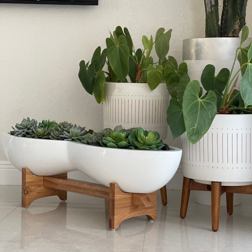 Artificial Succulent Plant