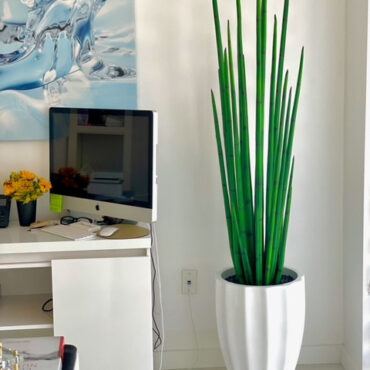 Ornamental Grass Artificial Plant