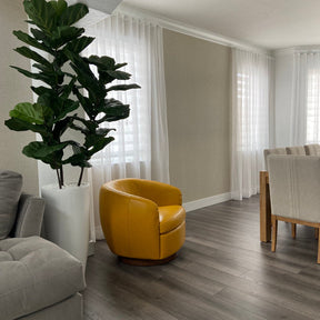 Dax L Glossy White Fibreglass Planter with Fiddle Leaf Tree