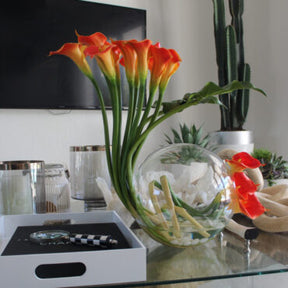 Mango Calla Lilies in the Crosswinds Vase