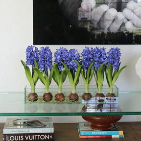 Blue Hyacinths Glass Plate Planter
