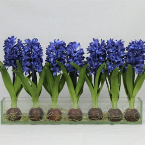 Blue Hyacinths Glass Plate Planter